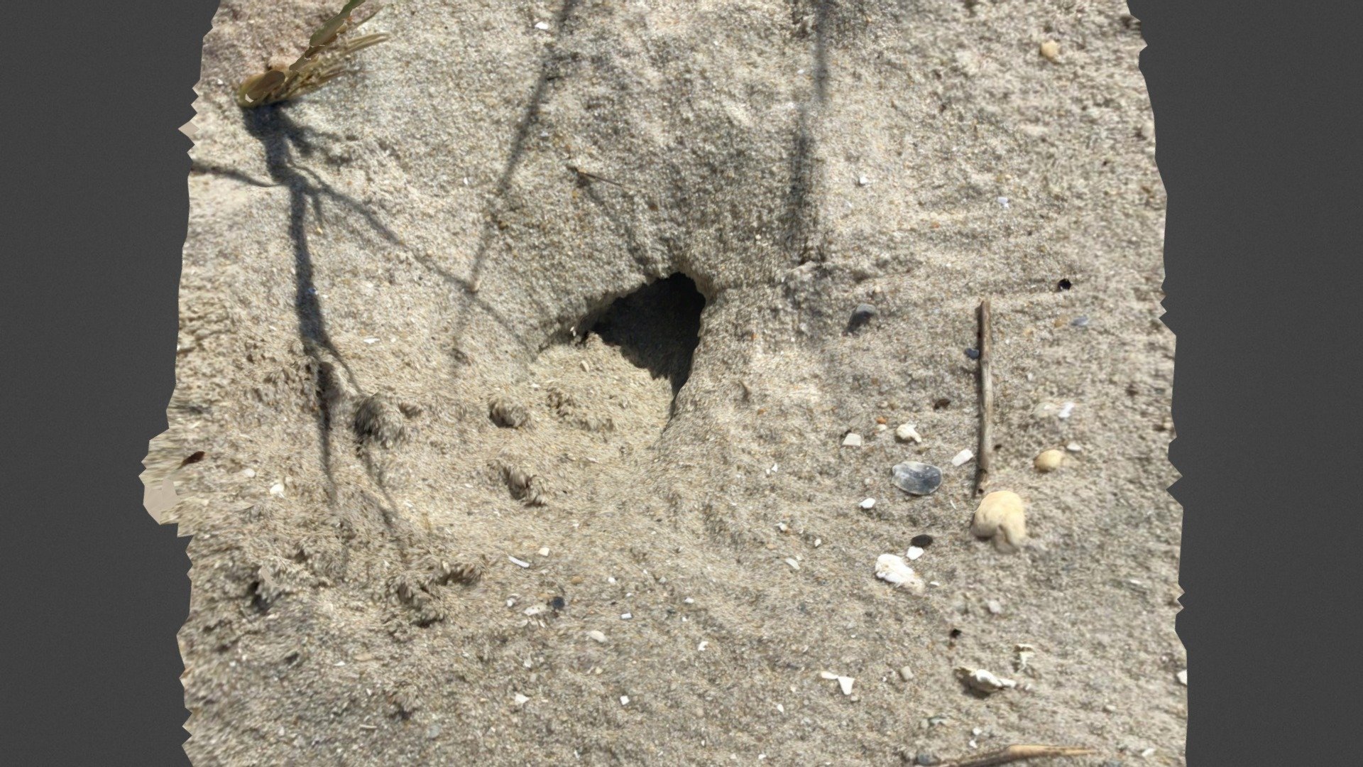 Crab hole
