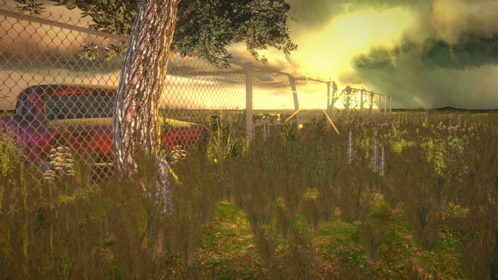 The Golden Field 3D Model