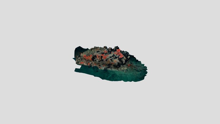 1945 UXO near Hardeep Wreck 3D Model