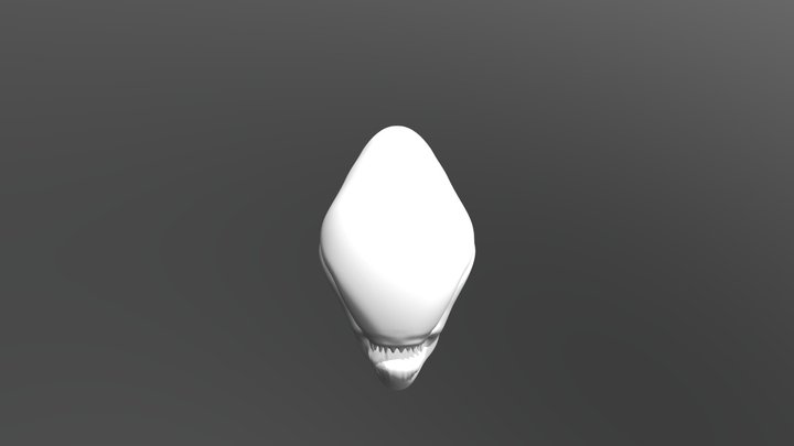 My model 3D Model