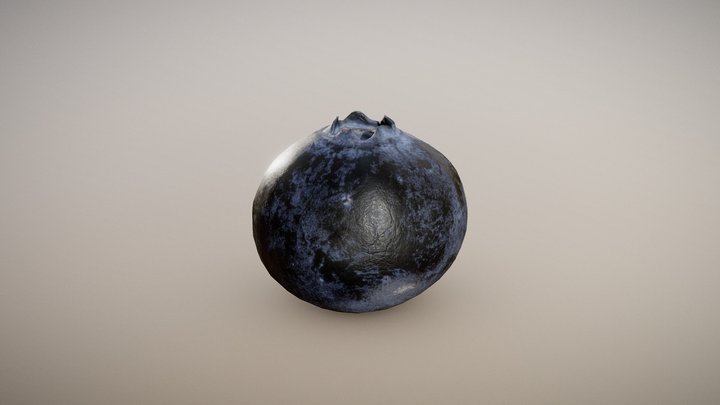 Gourmet Blueberry (Surface Macro) 3D Model