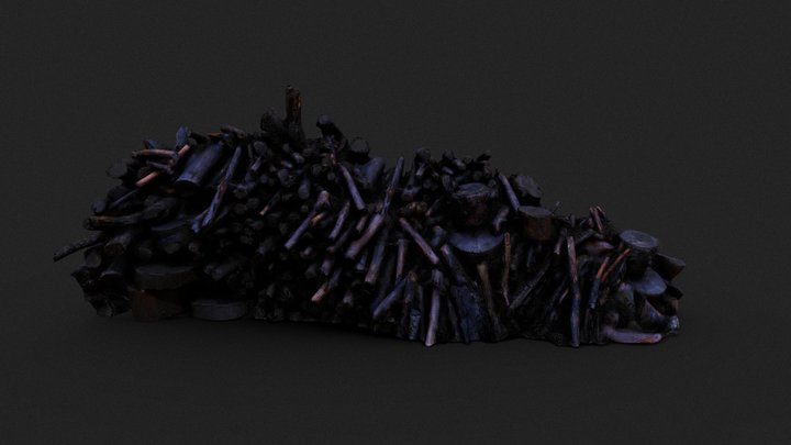 Stacked forest timber logs - scan 3D Model