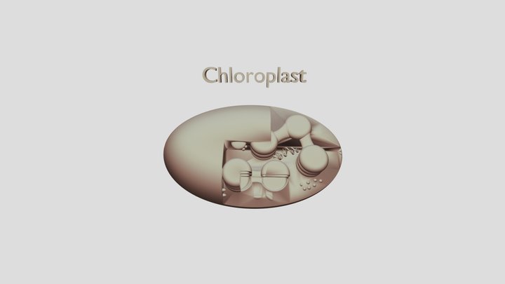 Chloroplast 3D Model