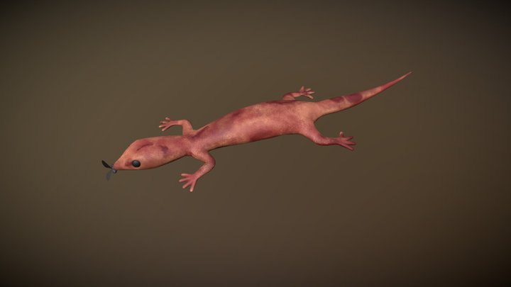 Lizard Animations 3D Model