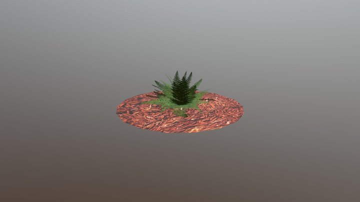 Fern 3D Model