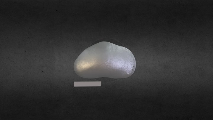 E.virens 3D Model