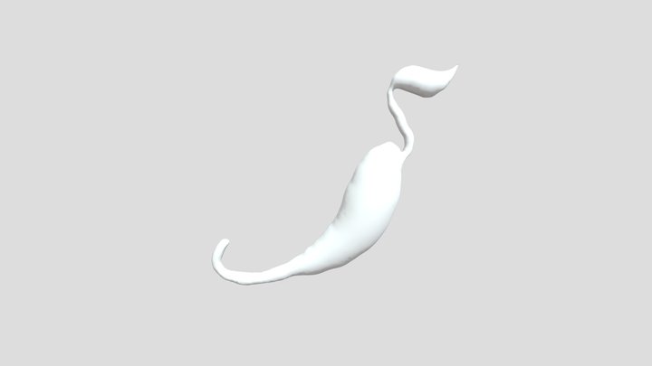 Chilli 3D Model