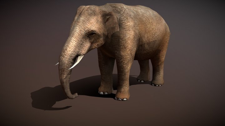Largest-land-animal 3D models - Sketchfab