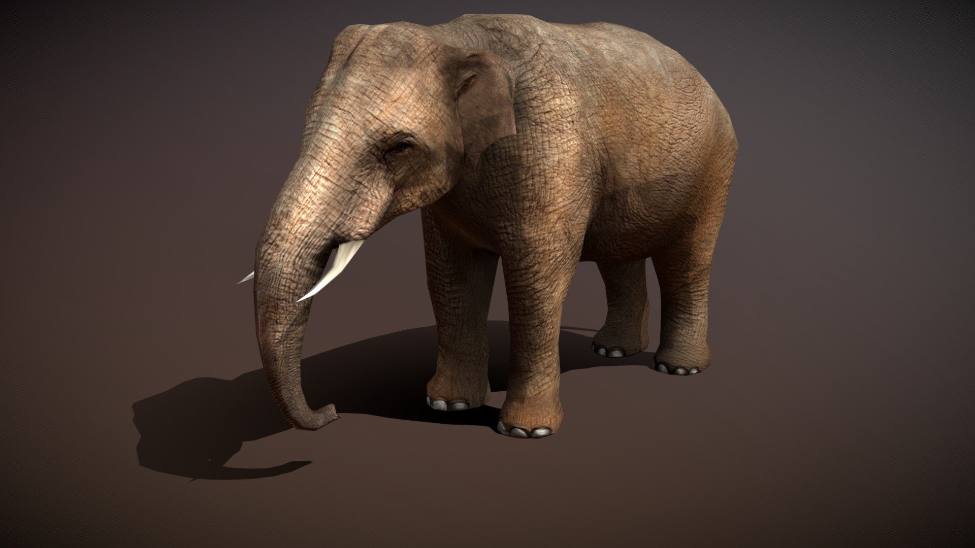 Safari animals - Elephant