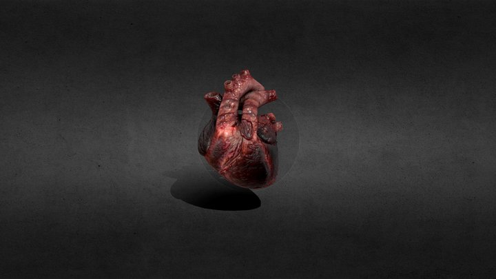 heart_anim 3D Model