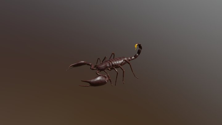 Scorpion 3D Model