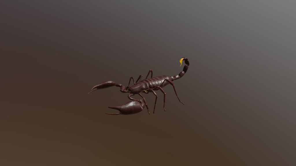 Scorpion