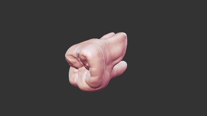 Tb #2 3D Model