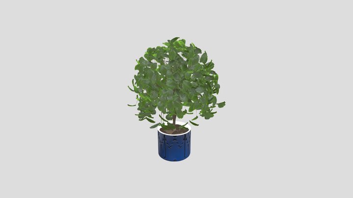 Autumn Plant – Modello 3D gratuito STL