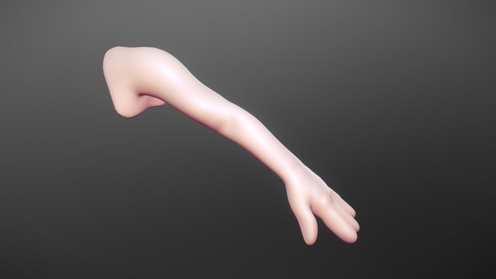 Arm 3D Model