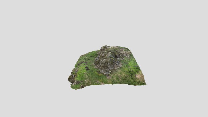 Welsh Mountain Boulder 3D Model