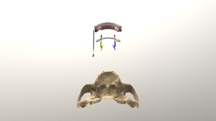 Anin02 3D Model