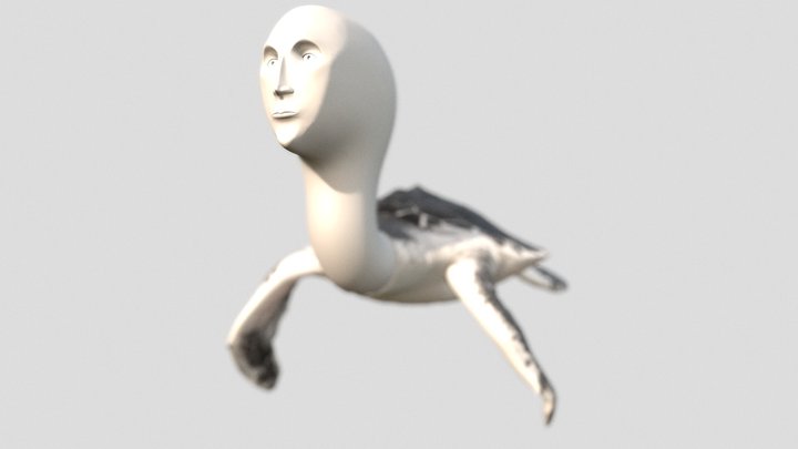 MemeTurtle 3D Model