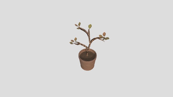 Week 8 Plant 116 | Brendan Washnak 3D Model