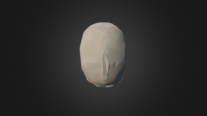 Homo sapiens - Cro Magnon - Predmost 3D Model