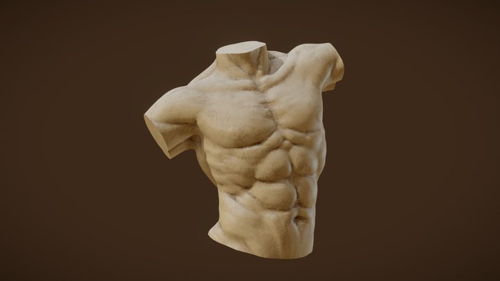 Sculpt January18 Day 22 Male Torso 3D Model
