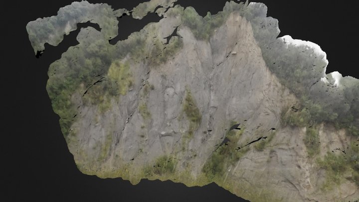 Zak Rock Face A 3D Model