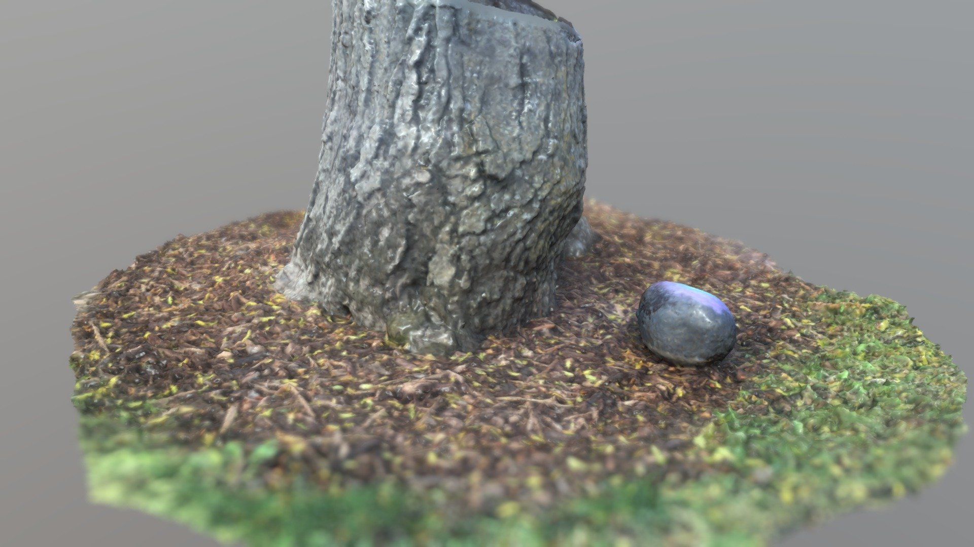 Tree and Rock Photoscan