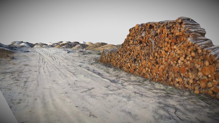 Bois 3D Model