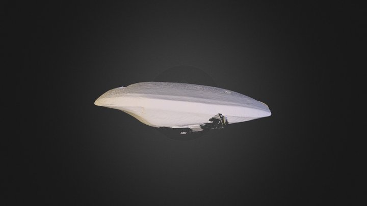 jed23 3D Model