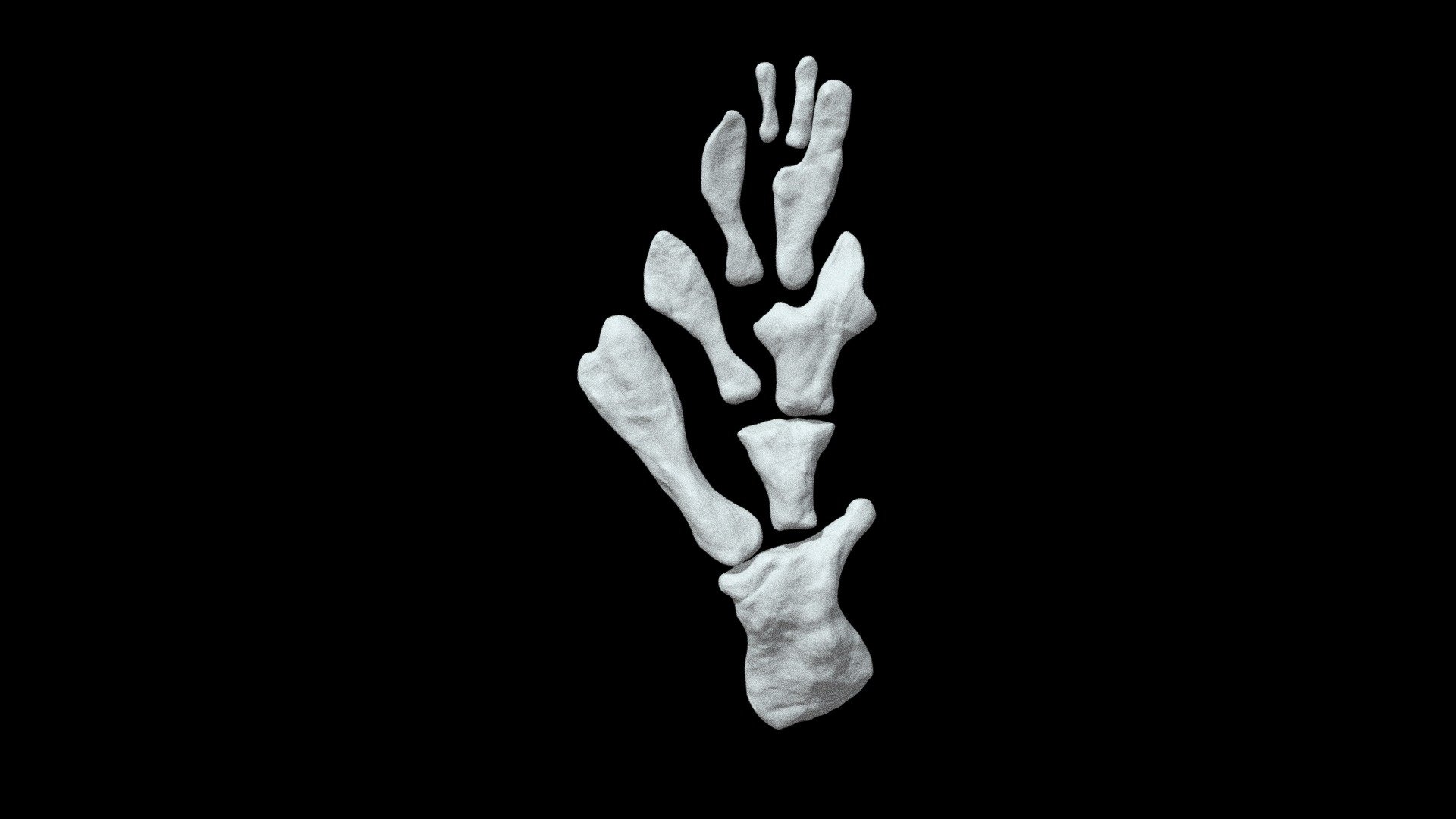 Eusthenopteron limb