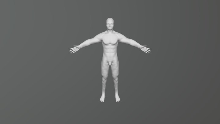Practice Body 3D Model