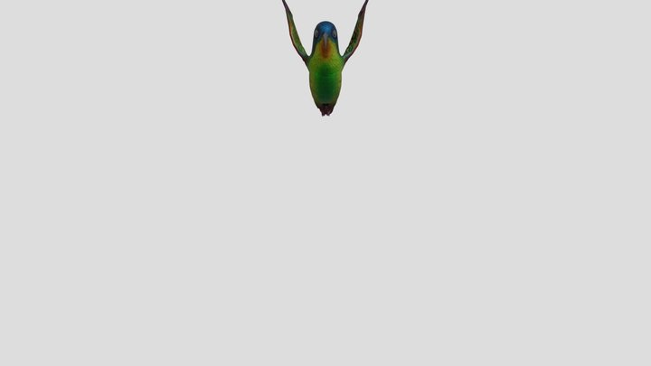 Flying Hummingbird 3D Model