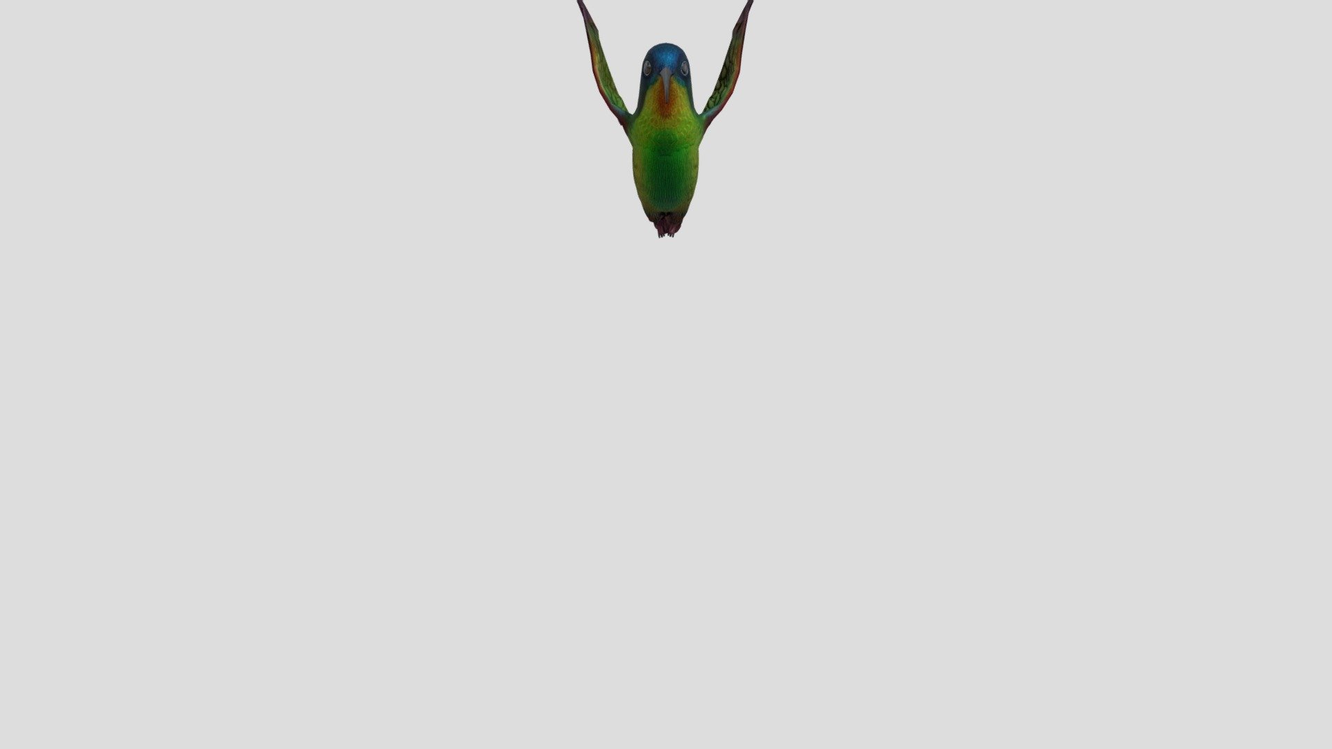 Flying Hummingbird