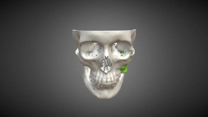 Test8 3D Model
