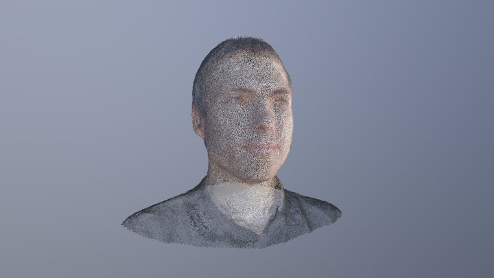 Portrait DL Punktewolke 3D Model