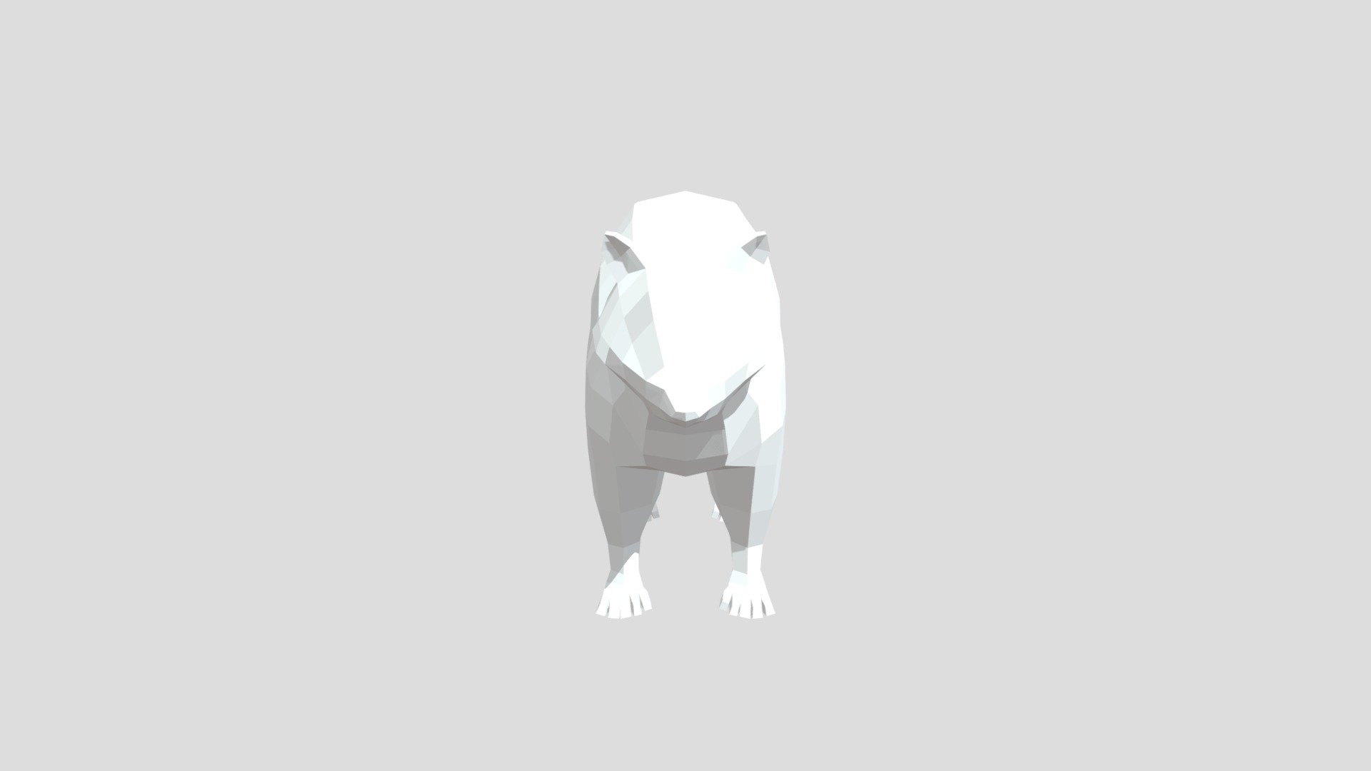 Raccoon from Poly by Google