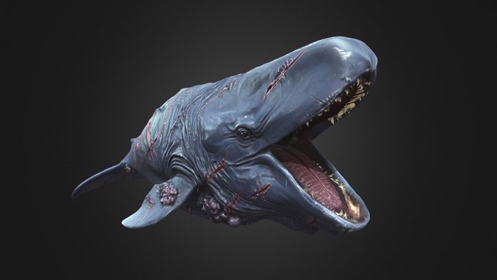 Ancient Battle-Scarred Leviathan Whale