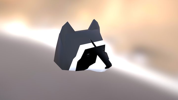 Racoon 3D Model