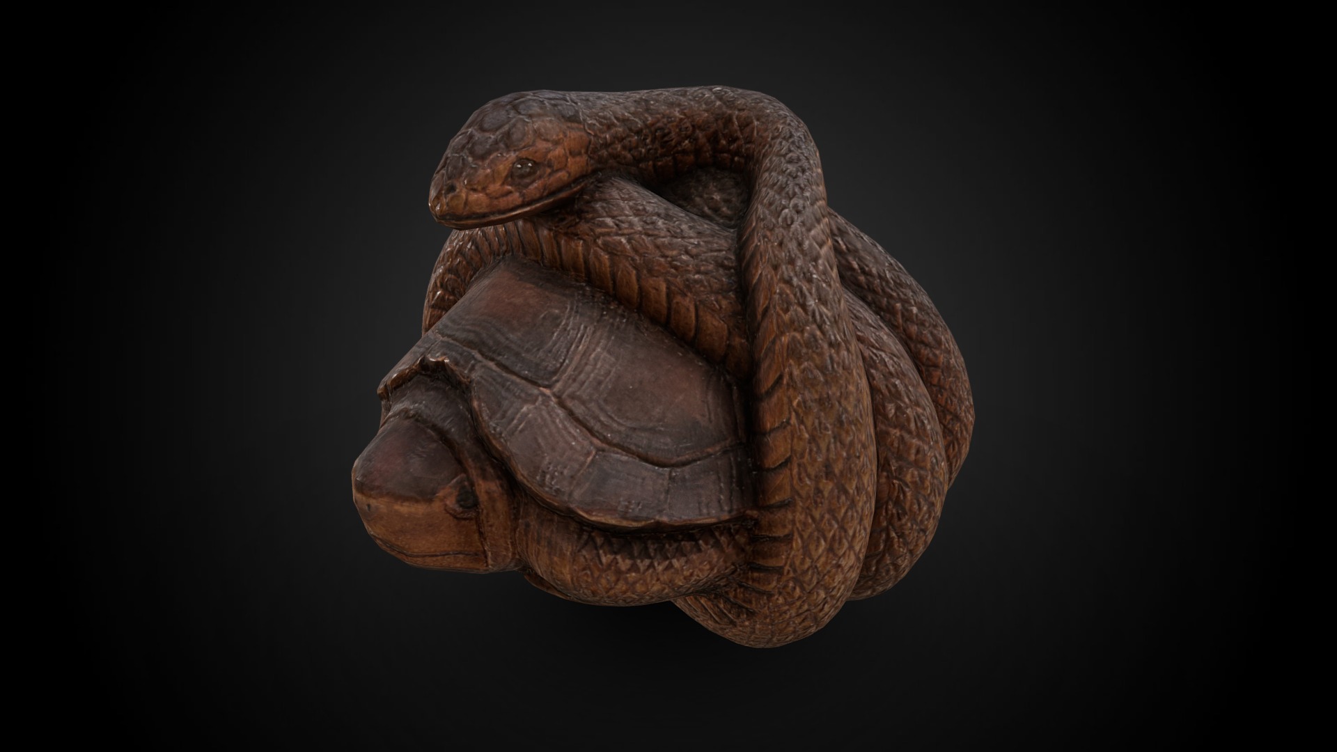 Netsuke - Snake curled around a turtle - Download Free 3D model by Minneapolis Institute of Art ...
