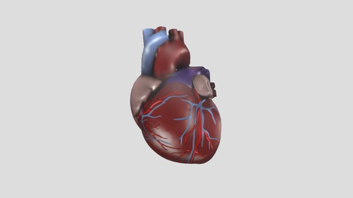 Jantung-Seamolec 3D Model