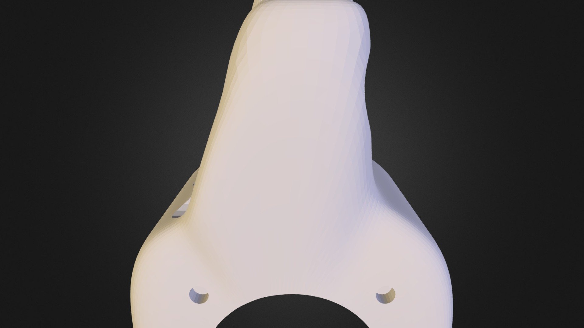 Shark Body Top