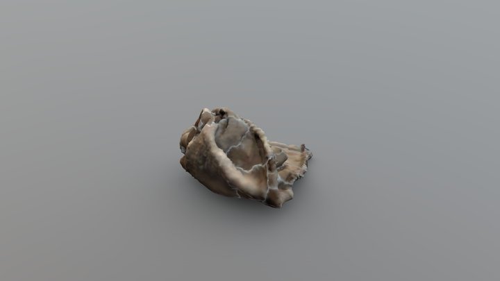 Dirty Rag Redo 3D Model