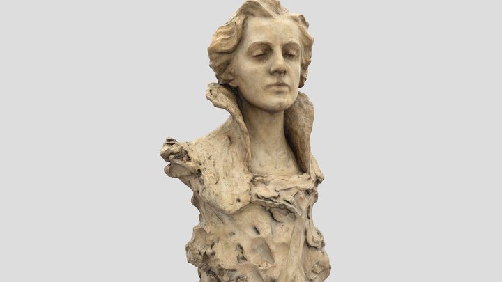 Bust of an Unknown Woman. Luna Amalia Drexler 3D Model