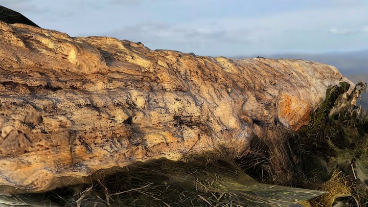 A Log – Modèle 3D gratuit STL
