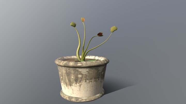 Venus Flytrap 3D Model