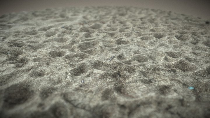 Sand With Footprints 3D Model