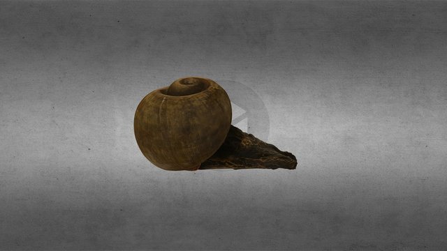 Snail by Roland Lindner 3D Model