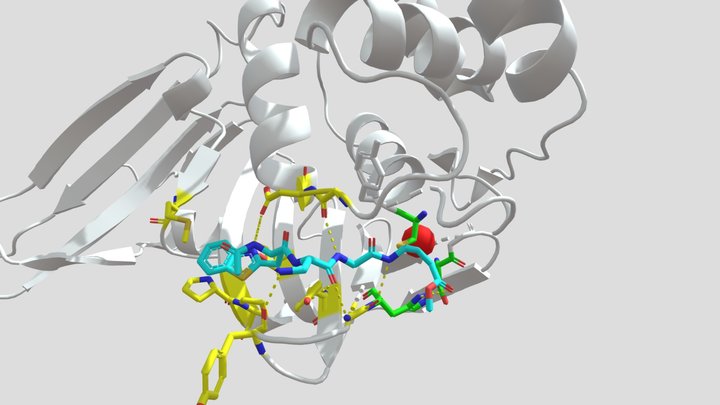 Papain-like Protease and inhibitor VIR250 3D Model