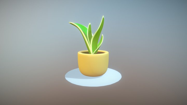 House Plant 3D Model