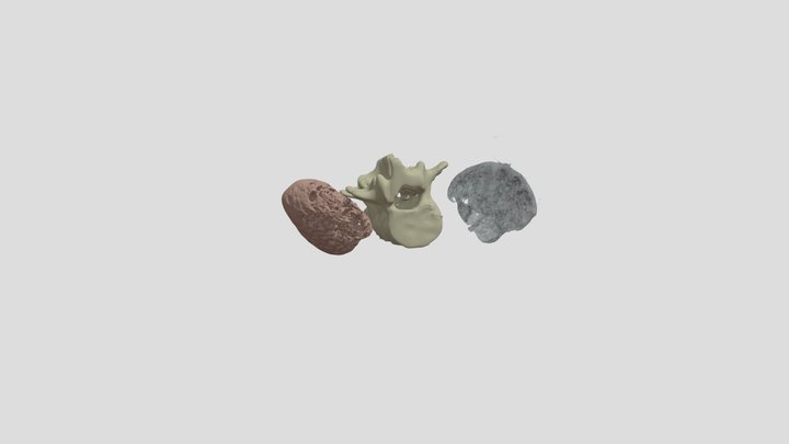 RIÑONES 3D Model